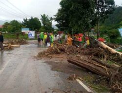 Bencana Agam, Koto Malintang dan Tanjung Sani Terparah, Jalan Provinsi Tertutup Banjir dan Longsor